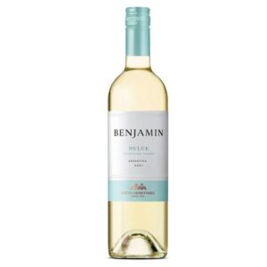 Vino Benjamín Nieto Colección Tardía Blanco