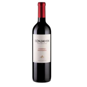Vino Benjamín Nieto Cabernet Sauvignon